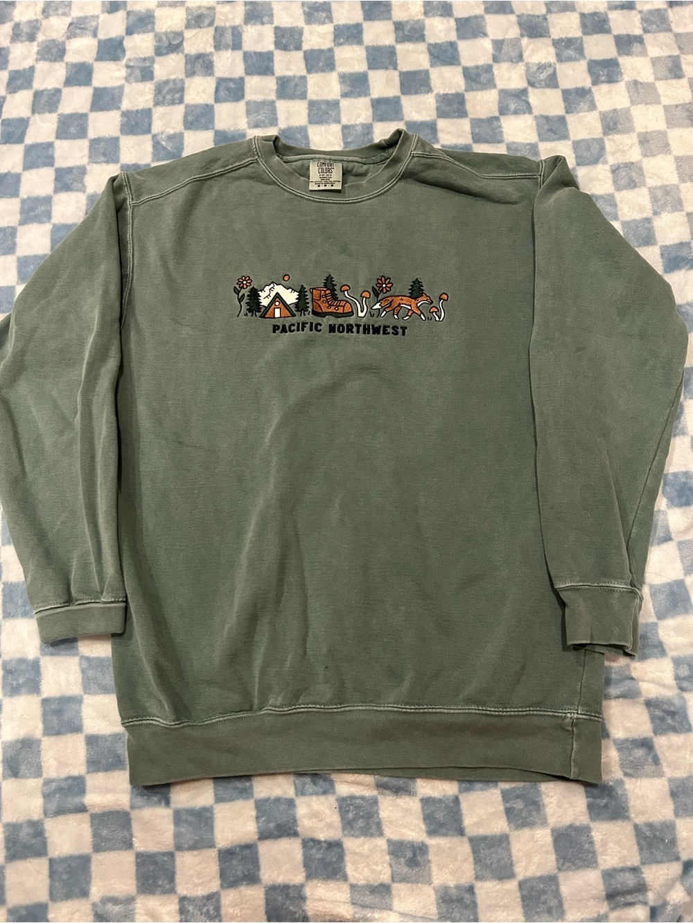 Comfort Colors Pacific Northwest Green Crewneck Sweater